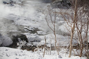 冬日雪景中的枯树与雾气 长白山