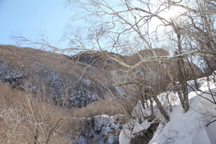 冬日山林雪景 长白山