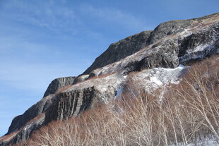雪山下的枯黄植被景观 长白山