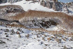 雪山中的木质栈道景观 长白山
