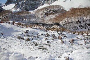 雪山下的羊群景观 长白山