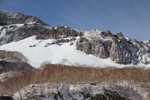 雪山与枯林的壮丽景致 长白山
