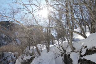 冬日雪覆山林美景 长白山