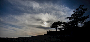 黄昏下的树木与天空剪影