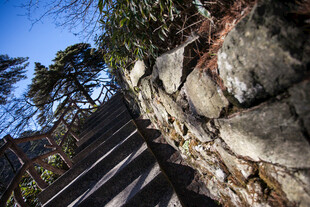 石砌墙旁的自然景致