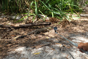 地面上的杂物与绿植