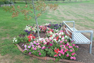 花园中的长椅与缤纷花卉