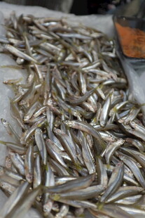 大量小鱼堆放在一起