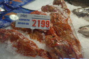 鲜活龙虾售价2199元