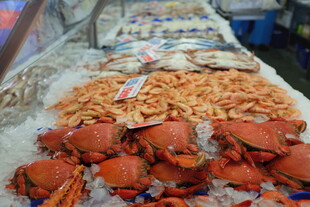 海鲜摊位的多样海鲜陈列