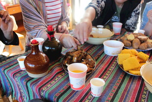 户外野餐美食欢乐场景