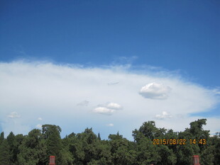 蓝天绿树间的悠悠白云