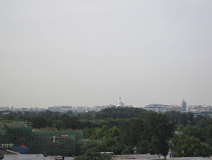 城市远景中的绿树景观