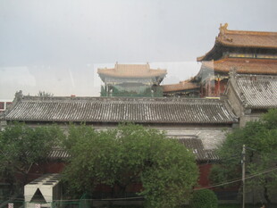 故宫古建筑与绿树景观