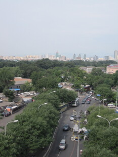 城市道路绿树环绕景象