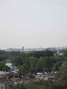 城市远景中的绿树景观