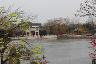 湖畔中式景致 春意初显