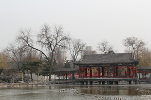 湖畔中式古建景观