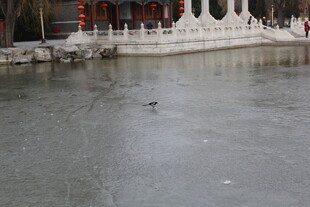 冬日湖面与古建筑景观