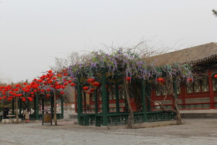 古建前的红灯笼装饰景观