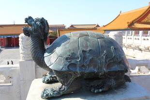 故宫青铜龟雕塑