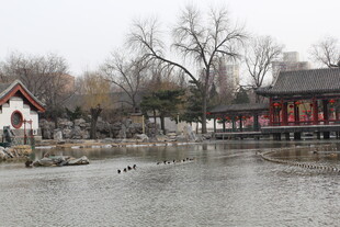 中式园林湖畔古典建筑景观