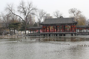 冬日湖畔中式建筑景观