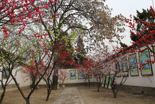 庭院繁花绽放的春日景致