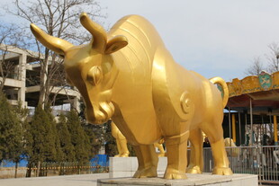 户外金色公牛雕塑