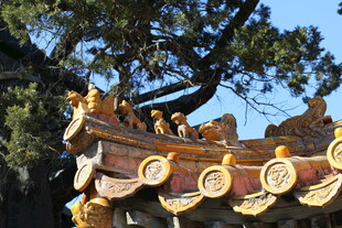 中式古建筑屋檐装饰细节