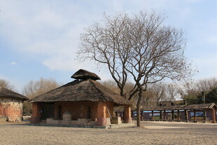 乡村古朴小屋与光秃树木