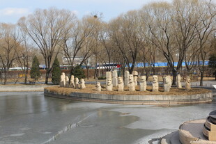 冬日结冰湖畔的石桩景观