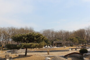 冬日公园静谧景致