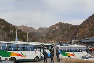 景区外停放的多彩巴士