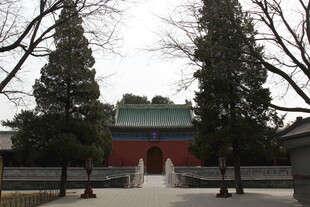 中式古建筑前的树木景观