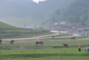 草原村落边的马匹与行人