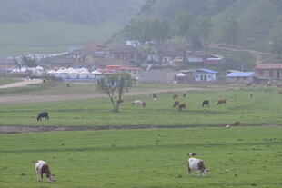 乡村牧场田园风光美景