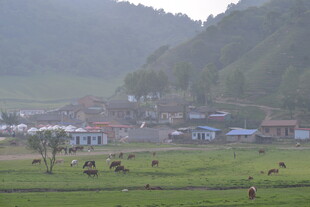 山村田园牧场景色
