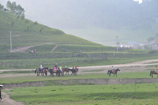 草原上的马队骑行场景