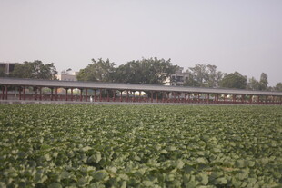 田野旁的列车景观