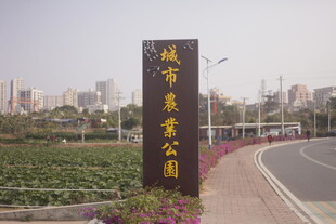 城市景观公园入口景象