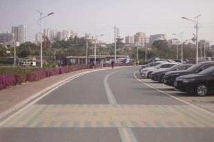 城市路边整齐停放的车辆