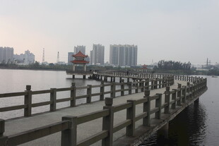 湖畔木栈道 城市静谧景