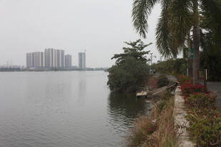 湖畔风光 城市与自然交融