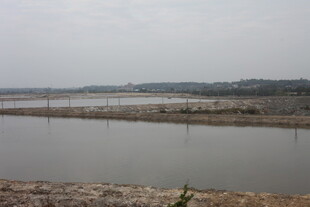 宁静宽阔的河岸风光