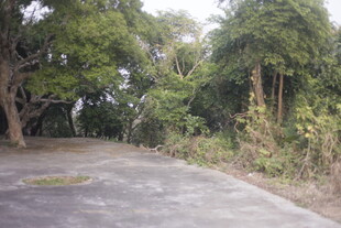 林间空旷水泥场地