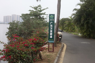 路边绿植与花卉指示牌景观