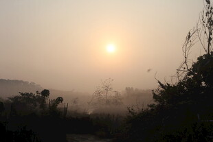 晨雾中的日出美景