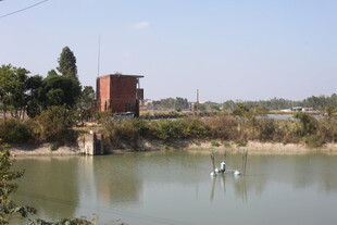 湖畔红建筑与白鹭景致