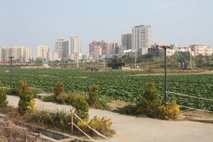 城郊田园与城市建筑景观